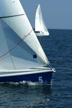 Sailing sport / regatta / The winner and losed