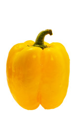 ripe sweet pepper expressed on white background