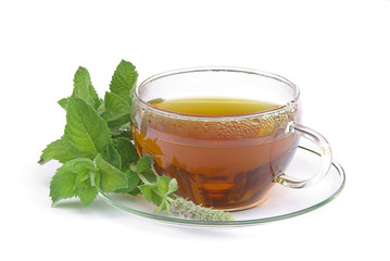Tee Orangenminze - tea Mentha citrata 01
