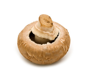 single brown champignon on white background