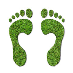 Green Footprints