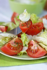 vegetable salad with tomatoes