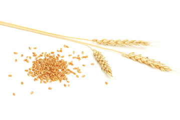 Wheat and grain