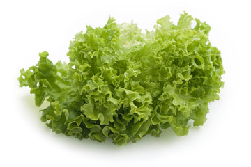 Lettuce leaf