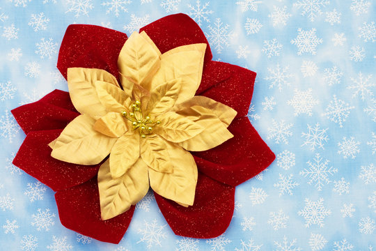 Red And Gold Poinsettia On Snowflake Background