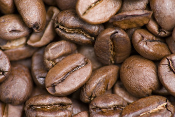 Close uup of coffee beans
