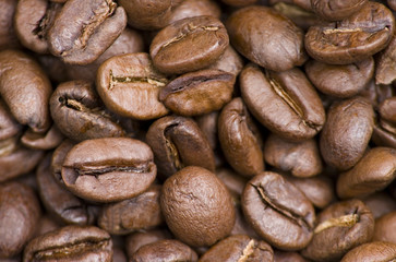 Close up of coffee beans