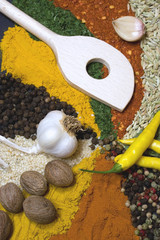 Spices and herbs used in indian kitchen