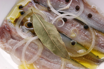 Marinata di sarde - Antipasti di pesce