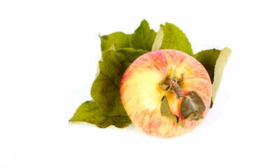 Apple and leaves isolated on white