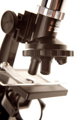 Microscope closeup over white background