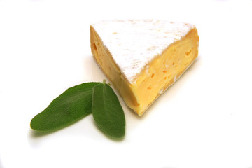 camembert cheese isolated over white