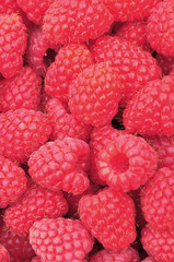 A pile of fresh Raspberry fruit.