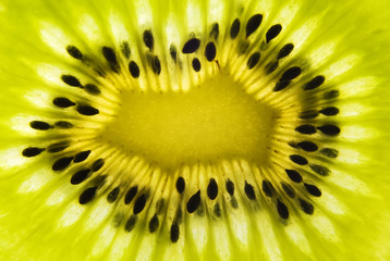 Backlit kiwi fruit background