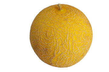 yellow round shaped melon isolated