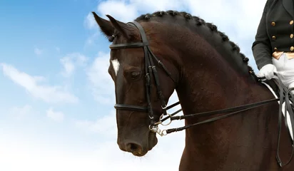 Zelfklevend Fotobehang Paardrijden dressage - equestrian sport