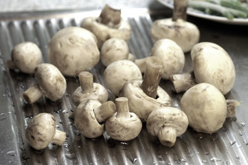 frische Champignons