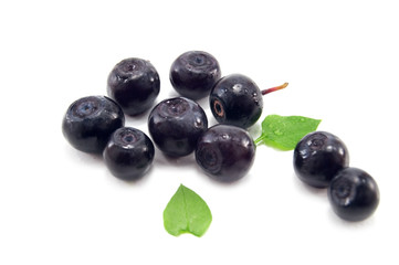 blueberry isolated on white background