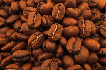 the coffee bean close up