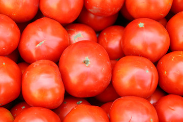 Fresh tomato from the garden, ideal for backgrounds