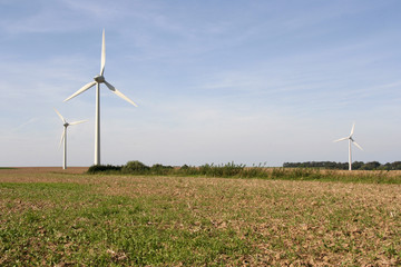 champ eoliennes