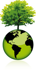 developpement durable - arbre source de vie
