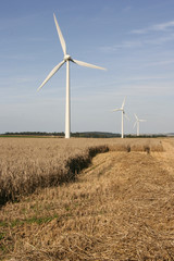 eoliennes champs