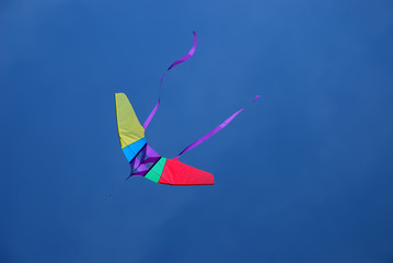 flying kite