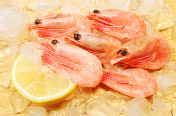 Whole shell on prawns with ice and a lemon wedge