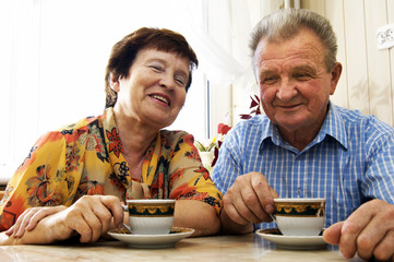 Happy senior couple in home