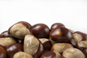 group of conkers with space for text