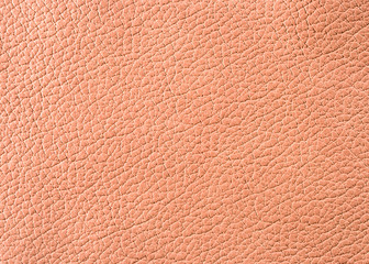 Fototapeta premium Natural qualitative leather texture. Close up.