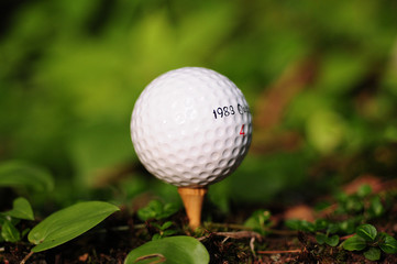 Golf ball
