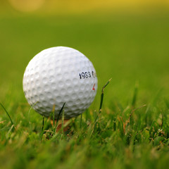 Golf ball