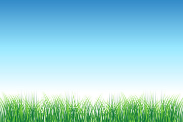 Green field on clear sky