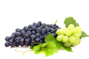 Bunch of grape isolated on  a white background.