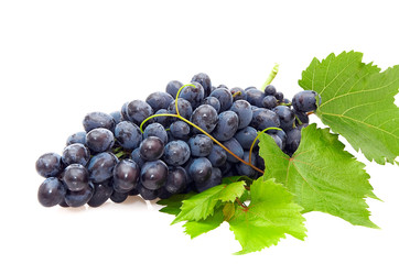 Bunch of grape isolated on  a white background.