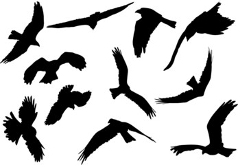 people waiting in queue silhouette vector