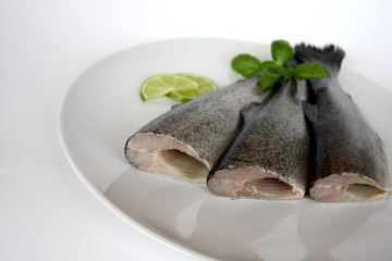 Gourmet Fisch 2