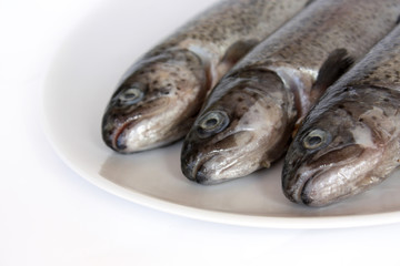 Forellen auf dem Teller