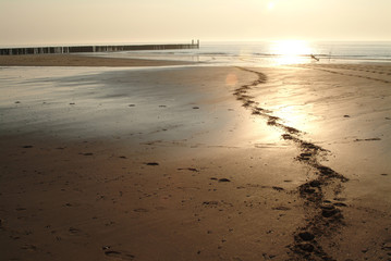 Prints from a horse at the beach