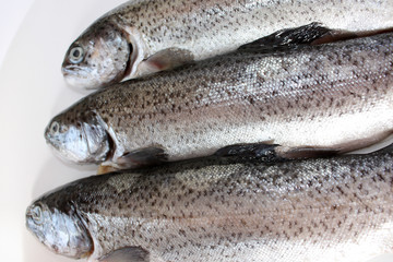 3 Forellen auf dem Teller