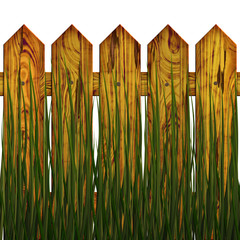 fence in herb