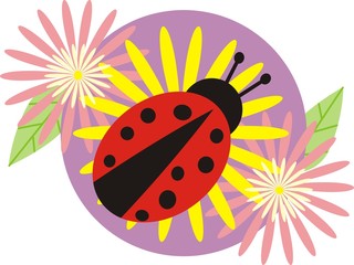 ladybird