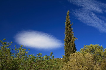 La nuvola soffiata!
