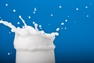 Milk splash