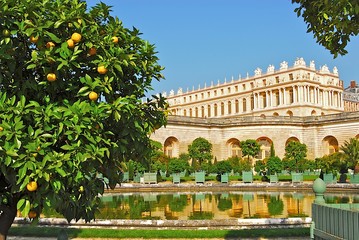orangerie de Versailles - obrazy, fototapety, plakaty