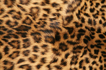 huid van de luipaard