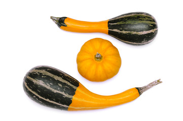 Small pumpkins