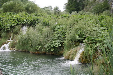 Parc de Plitvice   cascade Rivière la Korana  lac Croatie